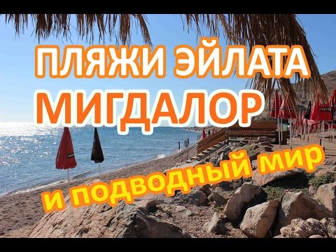YouTube Трейлер