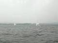 浜名湖:ディンギーのセイリング風景