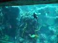 A Day at Xcaret