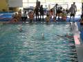 videos de swimminggalaRego (3).avi
