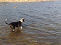 espacio perruno