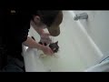 http://t.co/nIFdrMHa 猫がお風呂に入れられている動画を見たら、はなに手を噛まれて袖を引っ張られた