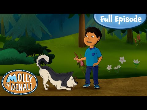 Suki's Bone | Molly of Denali Full Episode!