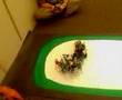videos de Dragons Don't get Dizy -- Practice Mtch3 -- Dancing / Seeker