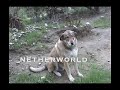 NETHERWORLD - Out Takes NETHERWORLD - Out Takes