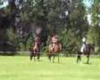 videos de Lits+Lauwers036 Juffer-Soeterwei01