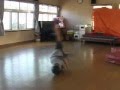 ウィンドミル講座