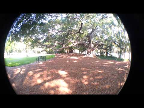 Testing a cheap fish-eye lens on a Samsung Galaxy S3 phone camera