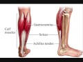 Aha Shake Heartbreak - Riley's Calves.wmv
