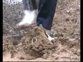 Muddy sneakers #7