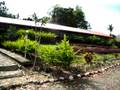 Long House