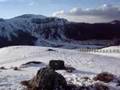 Skieur professionnel