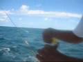 Barbuda