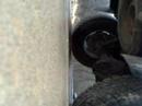 96 Dodge Ram 1500 flowmaster 40 series