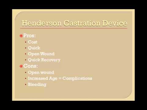 self castration