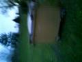 videos de poubelle Mdr