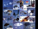 dts - chimera.wmv dts - chimera.wmv