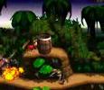 Donkey Kong Country - Barrel Cannon Canyon 