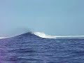 Fiji Surfing @Rendezvous Beach Resort Hotel