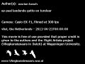 op paal landende grutto en tureluur