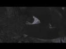 Let It Roll - Night of the Living Cat Girl - AMV Let It Roll - Night of the Living Cat Girl - AMV