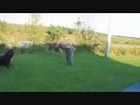 Double Front Flips Attemps On Trampoline & More !