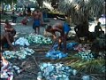 Mau Piailug And The Crew Of Makali`i Bring Supplies For The People Of Satawal