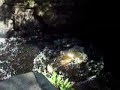Cliff Diving