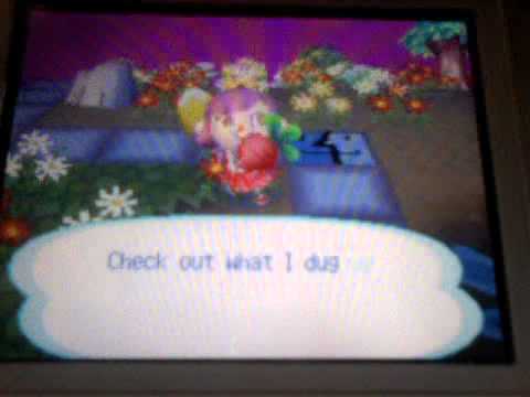 how to grow a turnip in animal crossing ds