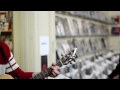 David R. Elliott @ Taz Records