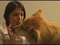 Deadly Diseases Might Come From Our Pets!