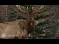 Jasper National Park