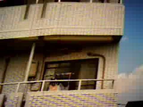 中央線の車窓から #5