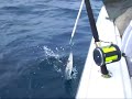 Florida Yacht Fishing Florida Yacht Fishing