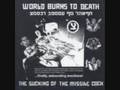 WORLD BURNS TO DEATH death is psychosomatic