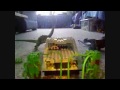 My Early Lego Movies