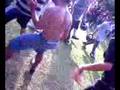 paiçandu DANÇA do ox! jsa calçados