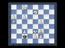 World Record - Checkmate & Stalemate SH#=52 (Rex Solus)