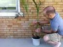 Laura, the Plant is Dead