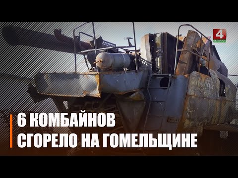 На Гомельшчыне згарэла 6 камбайнаў з пачатку жніва видео