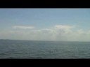 Delphia Yachts