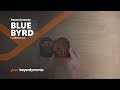 миниатюра 0 Видео о товаре Наушники Beyerdynamic Blue Byrd