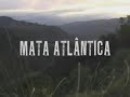 Video Chocante - Desmatamento