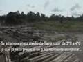 Video Chocante - Desmatamento