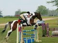 Lost Hounds Horse Trials - Mellow-N-Out Show Jumping