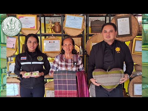 ทางรอดเกษตรกรไทย สมุนไพรมูลค่าสูง สร้างรายได้อย่างยั่งยืน อำเภอกู่แก้ว