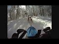 Amazing run thru Appleton Farms and trail system in Hamilton MA Myopia_Sled_Dog_Races_2011.wmv http://t.co/v0LxVLA via @youtube