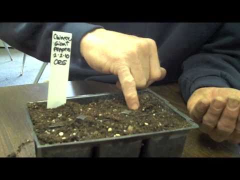 0 Advocate video: Stonewall Elementary Gardens