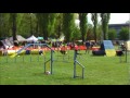 Click here to watch this video Wermut aility Łodz 2011 05 07