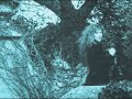 Loreena McKennitt-To the Fairies they Draw Near \"Tinkerbell\" Loreena McKennitt-To the Fairies they Draw Near \"Tinkerbell\"